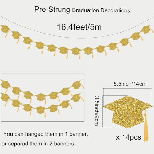 2025 Graduation Cap with Tassel Banners for Party Decor