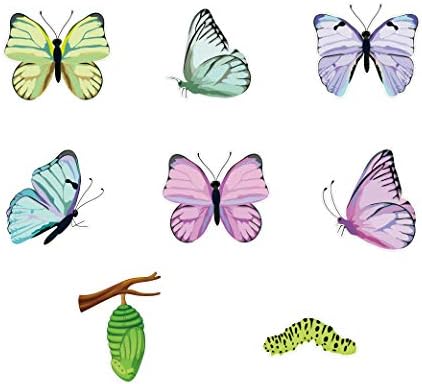 CC HOME 15Pcs Butterfly Party Decorations