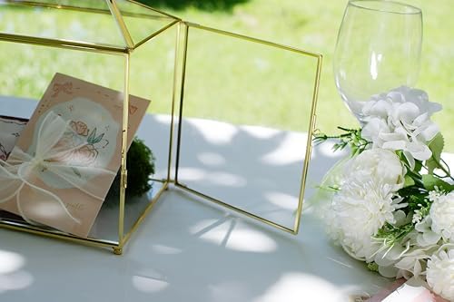 FISCRAT 102 Inche Gold Glass Card Box with Lock