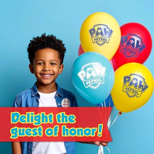 Paw Patrol Birthday Decorations for 16 Guests