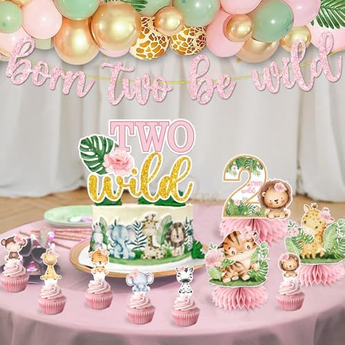 Cocomigo 128Pcs Two Wild Birthday Decorations Girl Kit