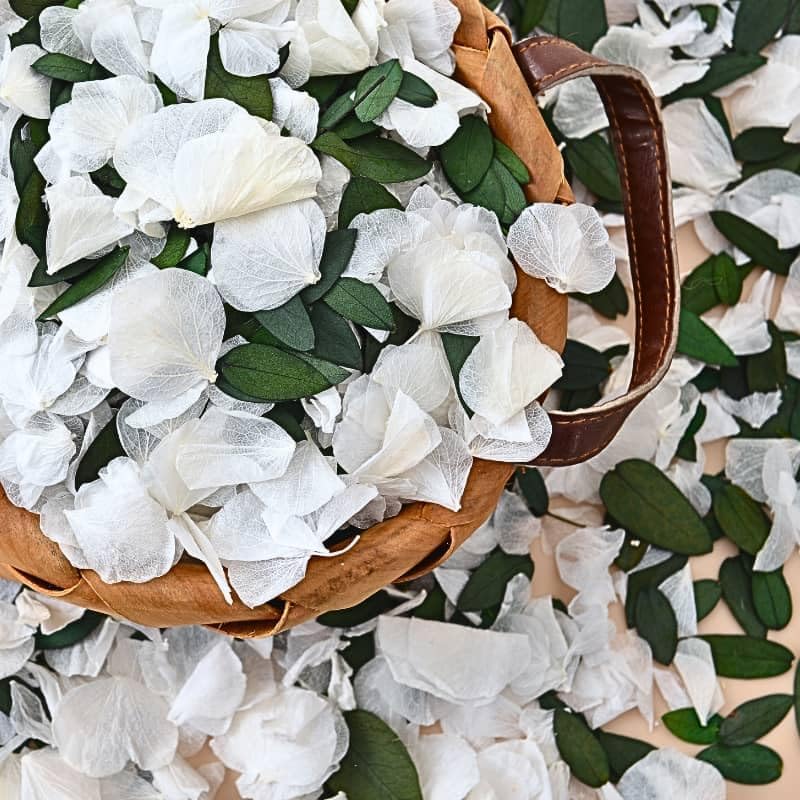 Real Dried Ivory Hydrangea Flower Eucalyptus Petals Confetti