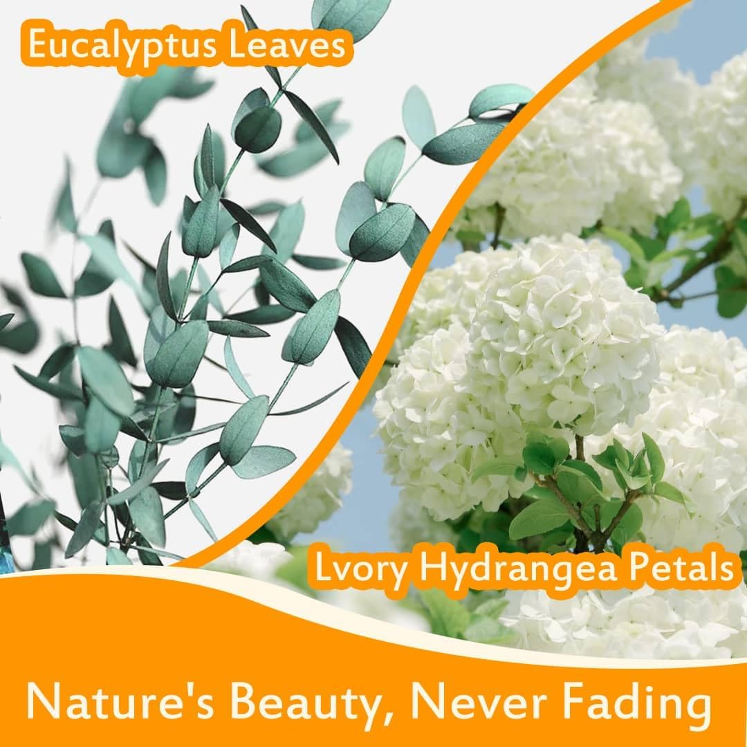 Real Dried Ivory Hydrangea Flower Eucalyptus Petals Confetti
