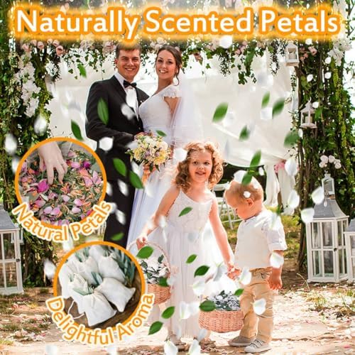 Real Dried Ivory Hydrangea Flower Eucalyptus Petals Confetti