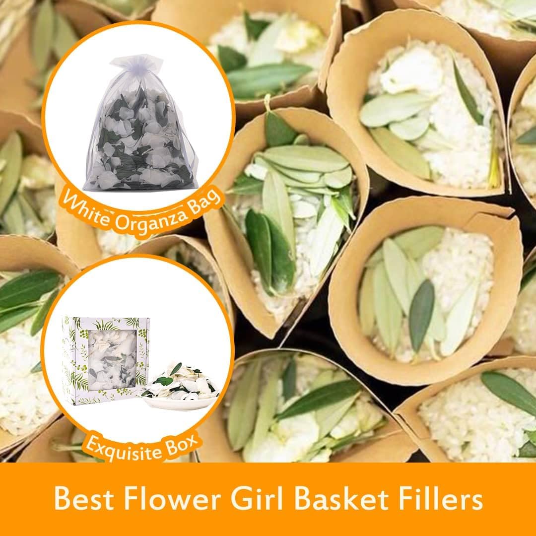 Real Dried Ivory Hydrangea Flower Eucalyptus Petals Confetti