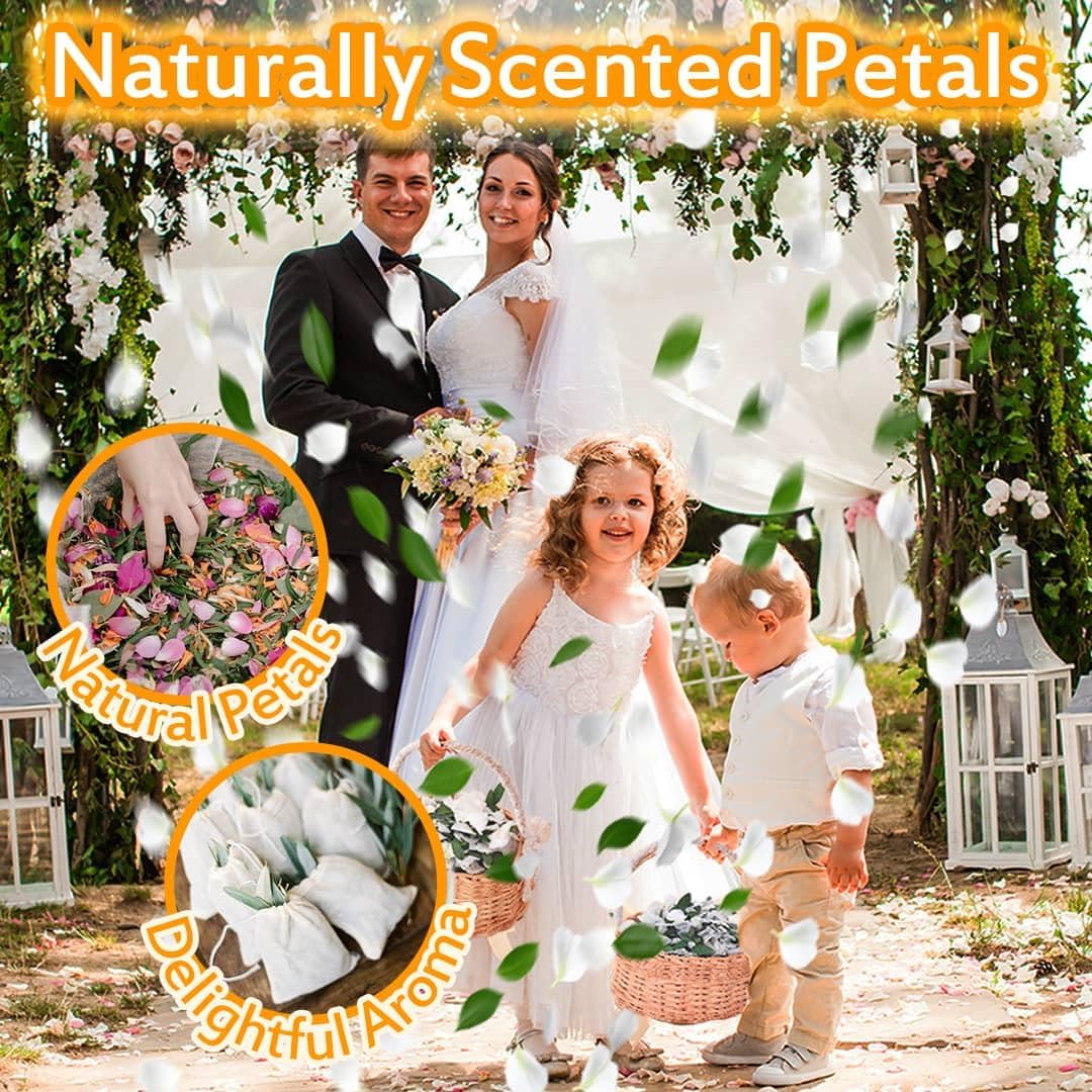 Real Dried Ivory Hydrangea Flower Eucalyptus Petals Confetti