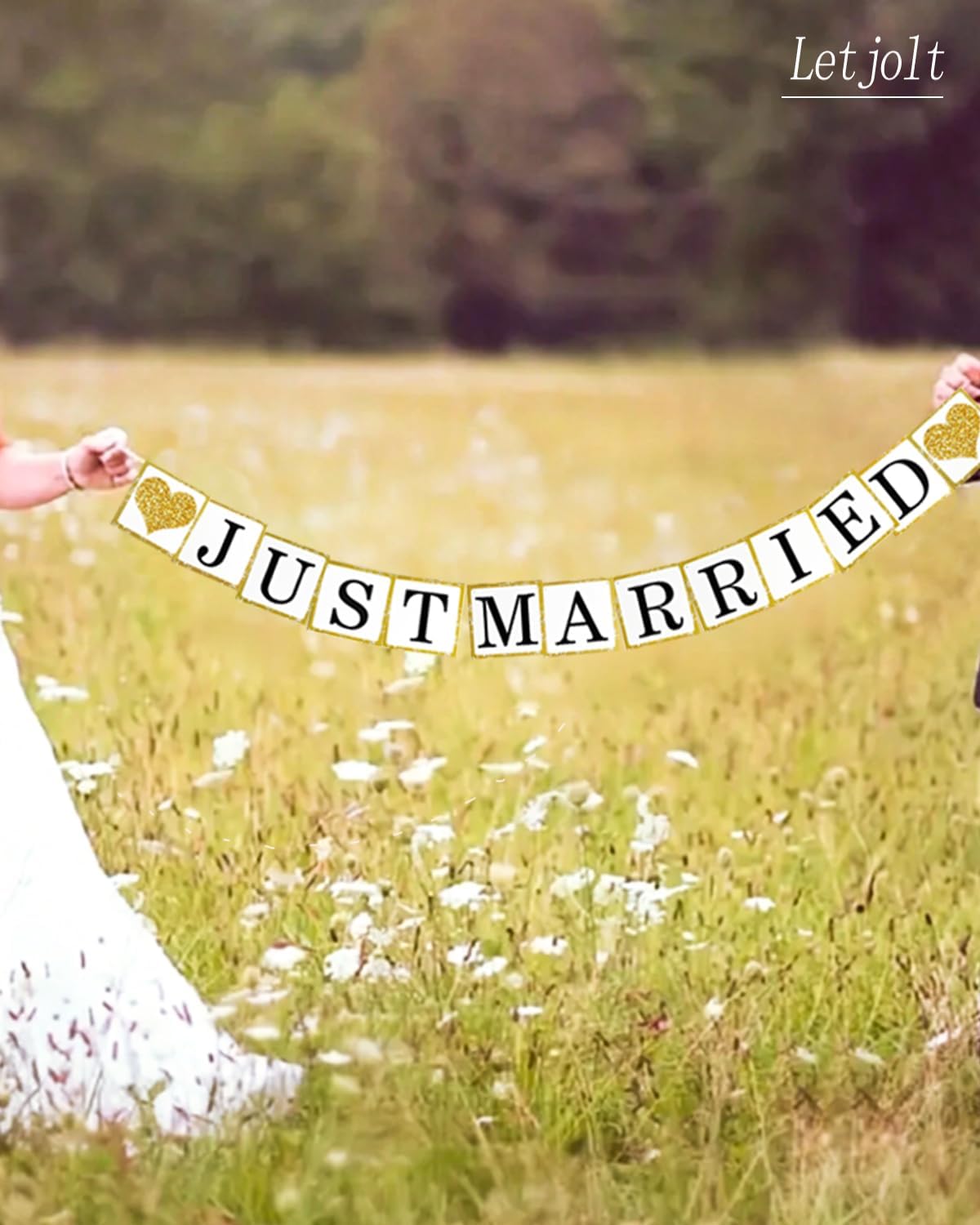 Just Married Wedding Banner Garland 6Ft Decorations