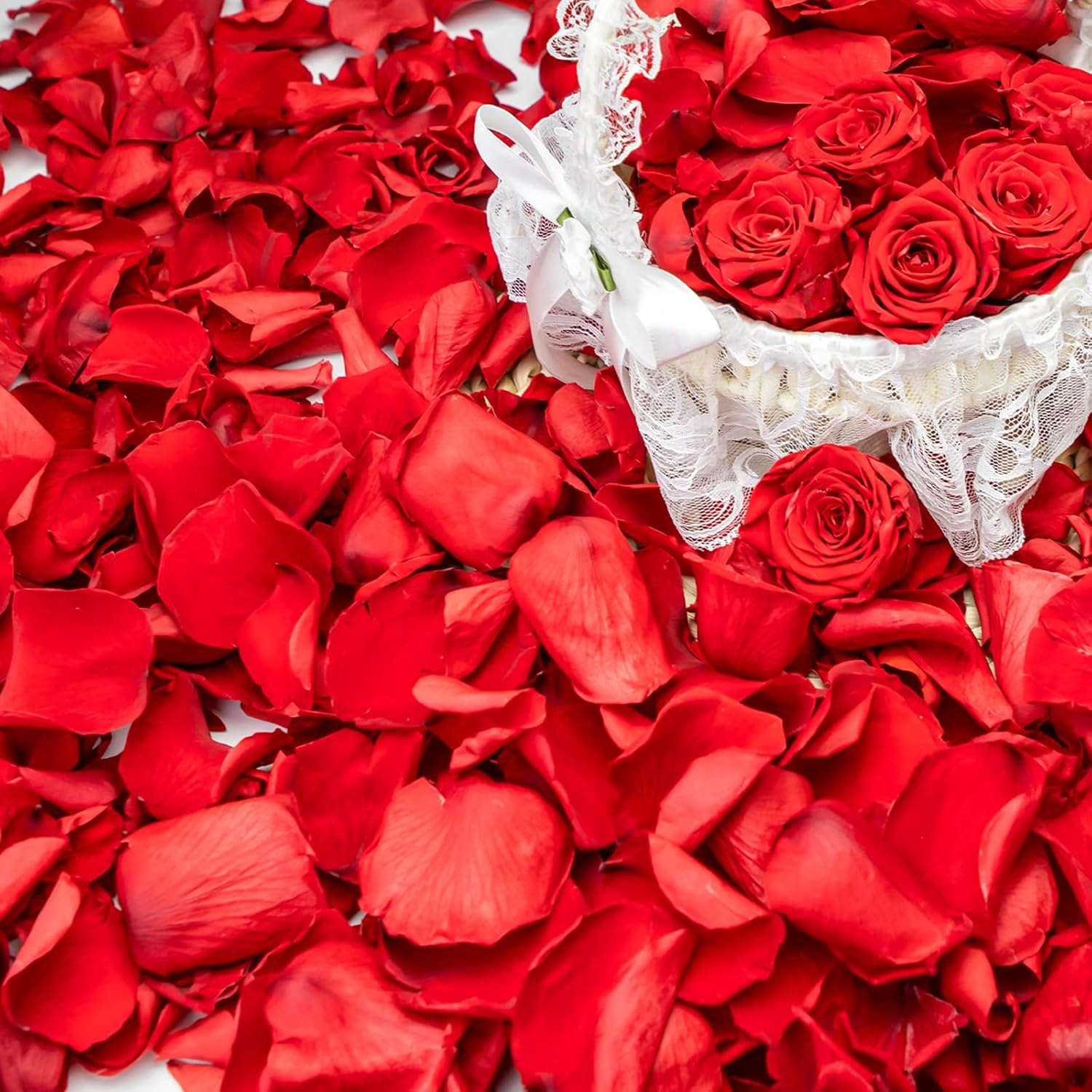 340PCS Real Red Rose Petals Dried Confetti
