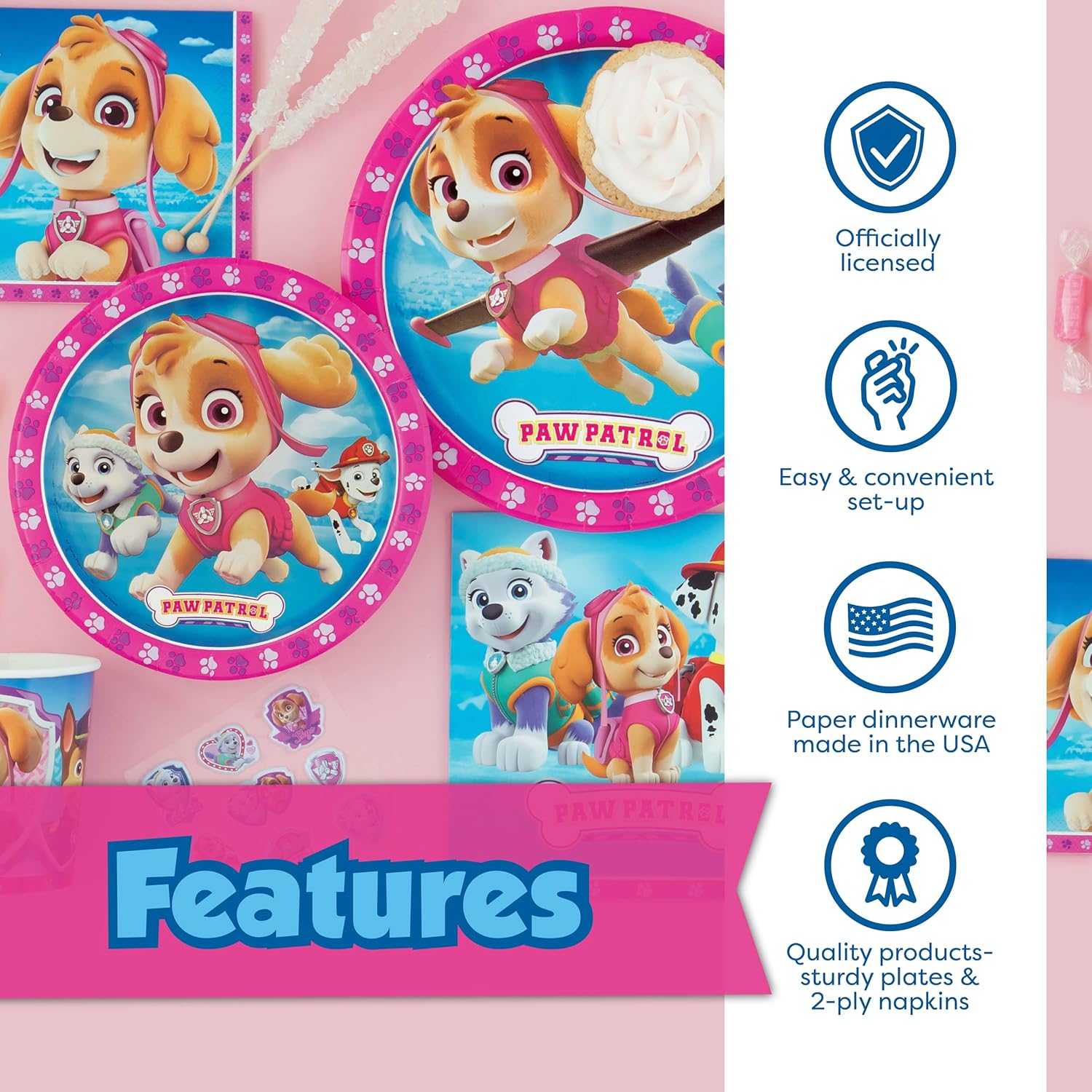 Skye Paw Patrol Birthday Party Kit Serves 16