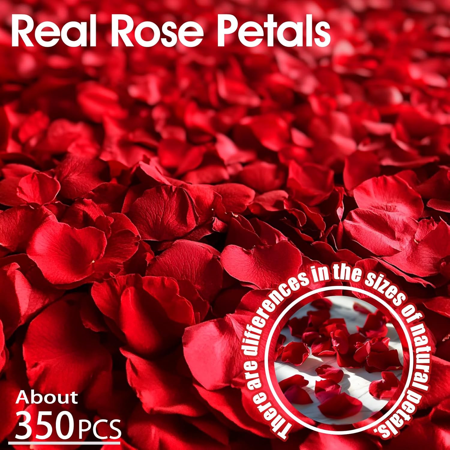 340PCS Real Red Rose Petals Dried Confetti
