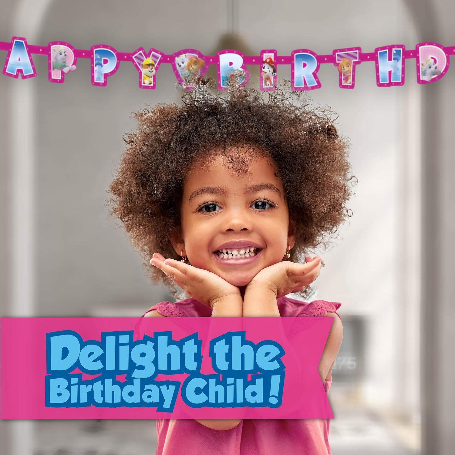 Skye Paw Patrol Birthday Party Kit Serves 16