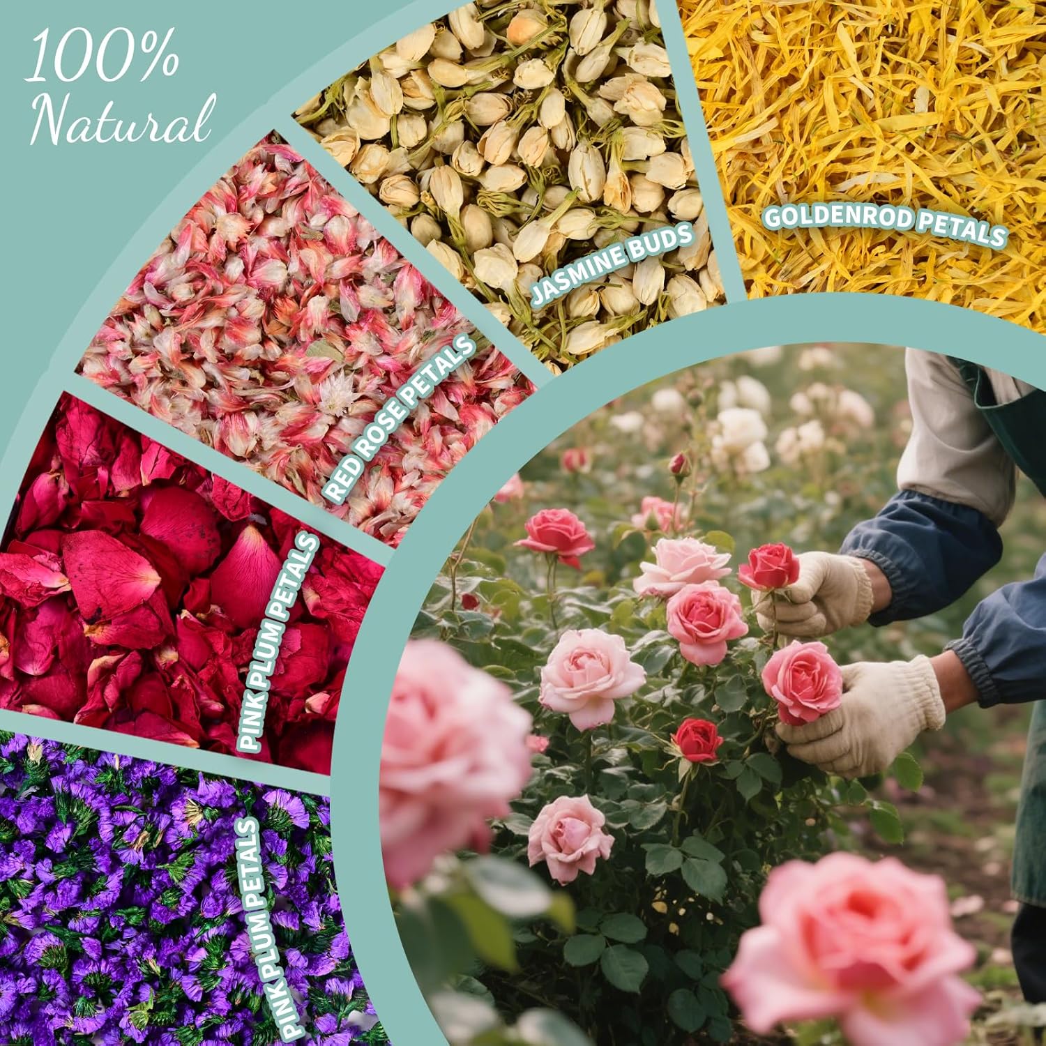 Koceko 40 Cup Biodegradable Flower Petal Wedding Confetti Set