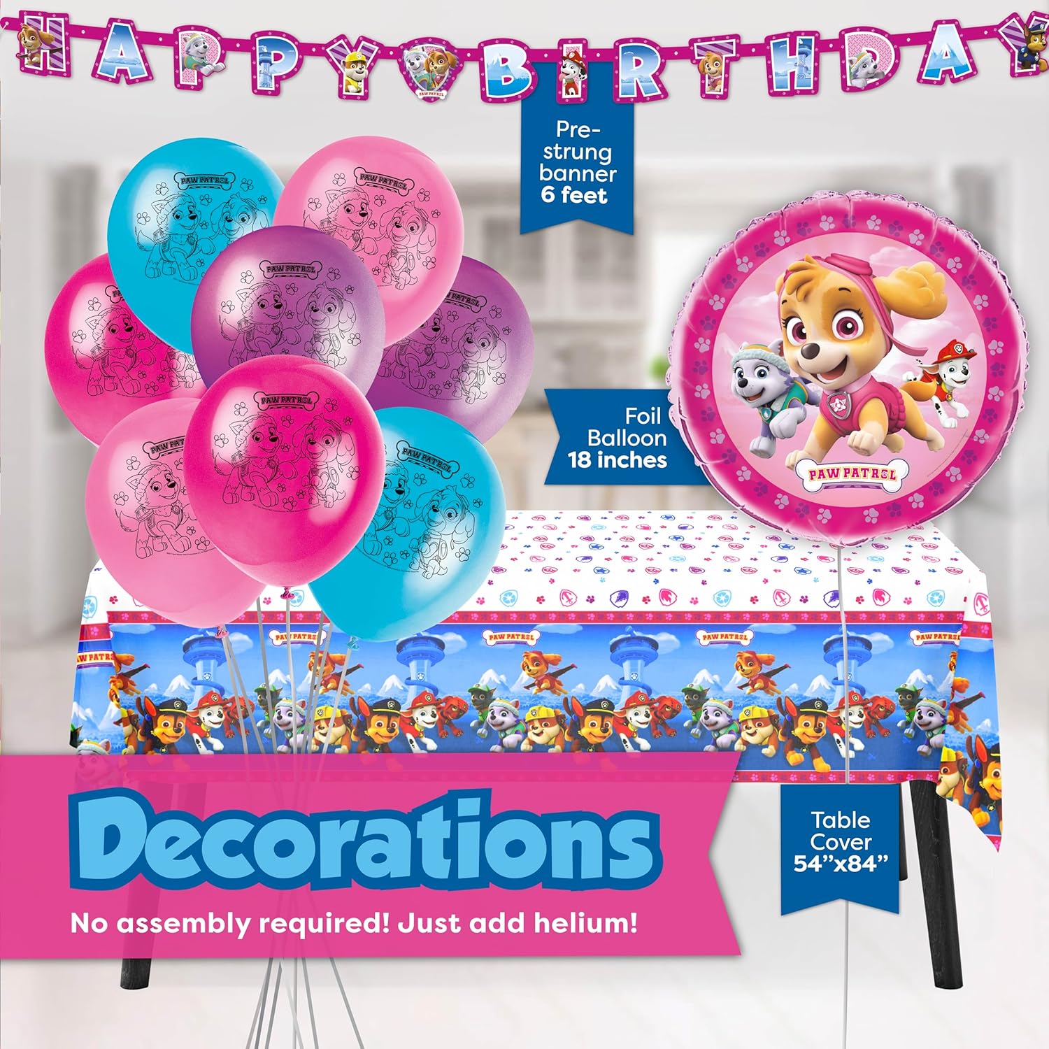 Skye Paw Patrol Birthday Party Kit Serves 16