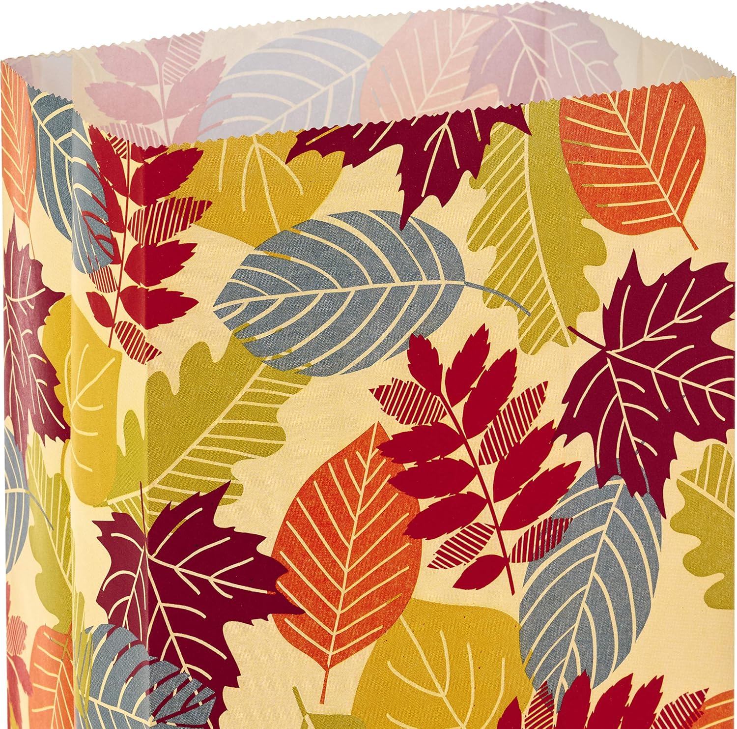 Hallmark Fall Leaves Party Favor and Wrapped Treat Bags 30 Ct